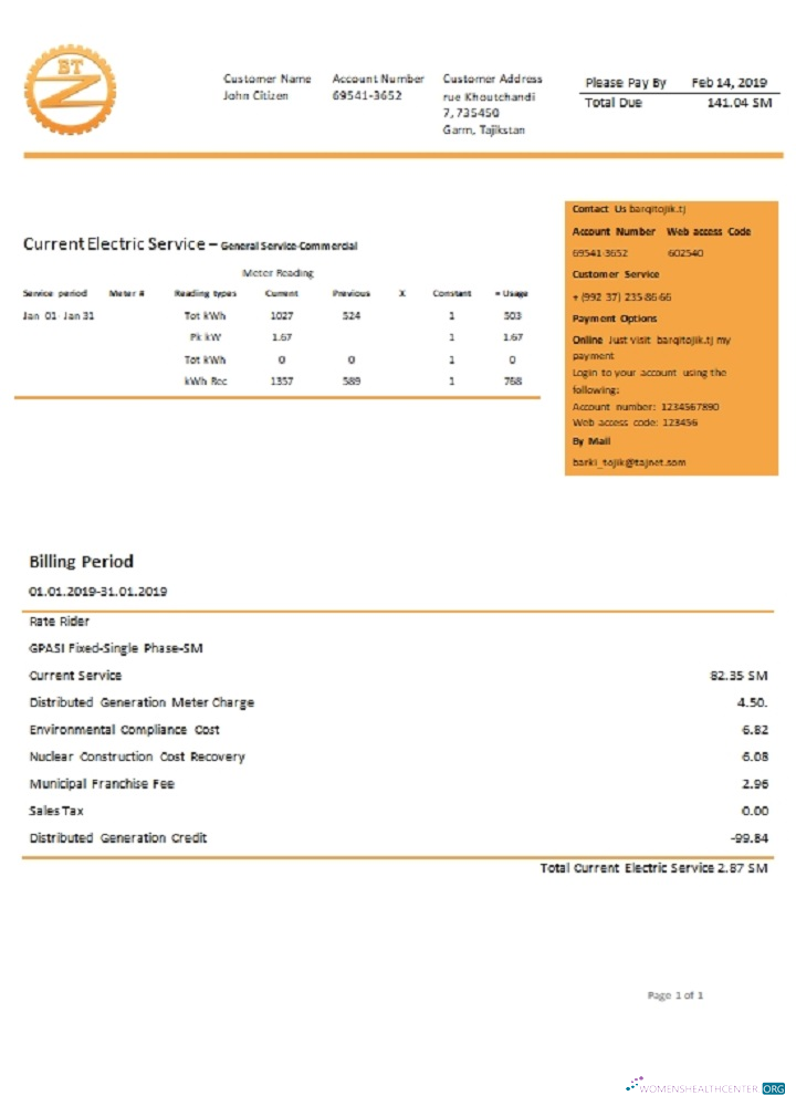 download Tajikistan Barqi Tojik Company electricity utility bill template in Word and PDF format PDF template